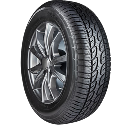 CENTARA TERRENA A/T Tyre Front View