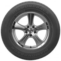 Diamondback TR257 Tyre Tread Profile