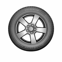 EVERGREEN DynaMaster EV516 Tyre Front View