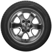Goodyear WRANGLER HP ALL WEATHER Tyre Front View